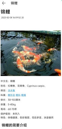 动物百科4