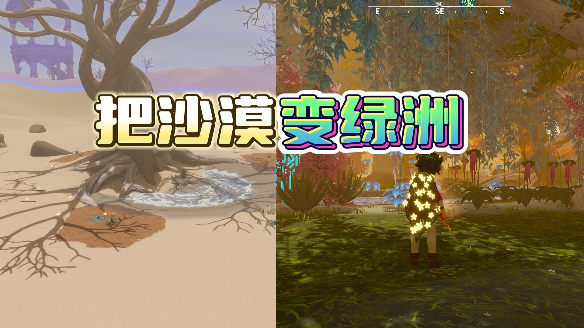 《荒原疗者》在沙漠中艰难种树 《荒原疗者》在沙漠中艰难种树