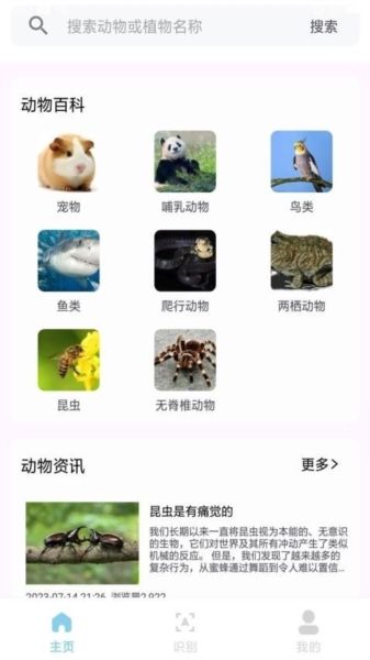 动物百科1