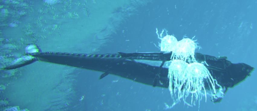 方舟生存进化龙王鲸有什么用 方舟生存进化龙王鲸有什么用