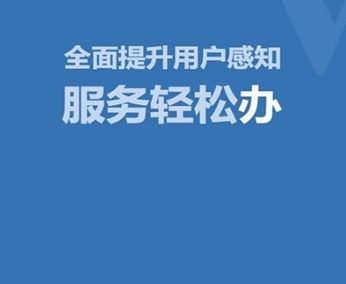 壮掌桂软件图片1