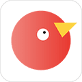 团巴拉app