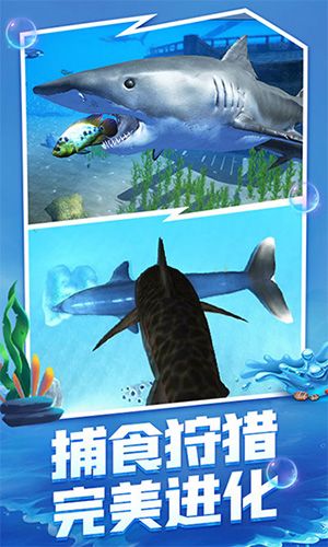 海底大猎杀国际服
