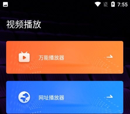 名媛视频6