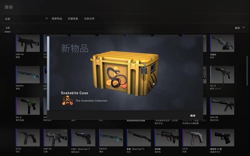 反恐精英二号武器箱能开出什么 反恐精英二号武器箱能开出什么