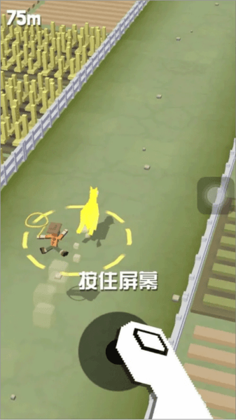 疯狂动物园国际版新手攻略