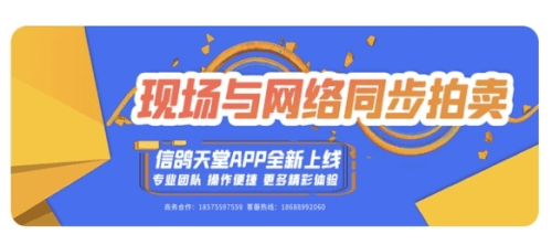 信鸽天堂app