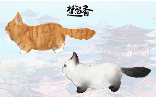 楚留香