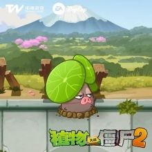 植物介绍配图5