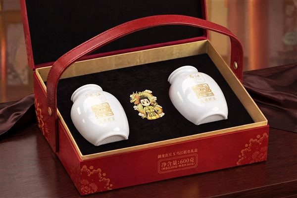 御龙在天6