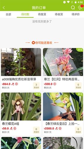 兰花交易网怎么付款6