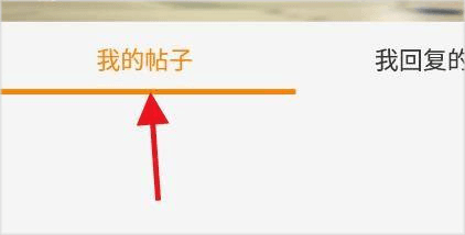 如何查看帖子配图3