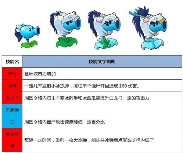 植物介绍配图5