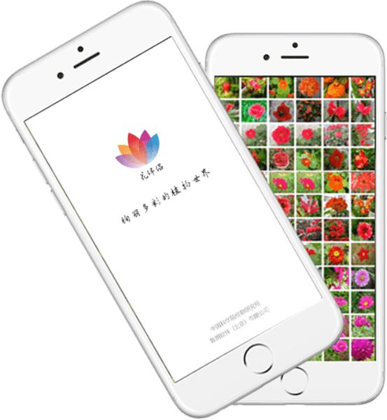 花伴侣app3