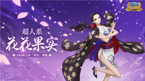 航海王:燃烧意志1