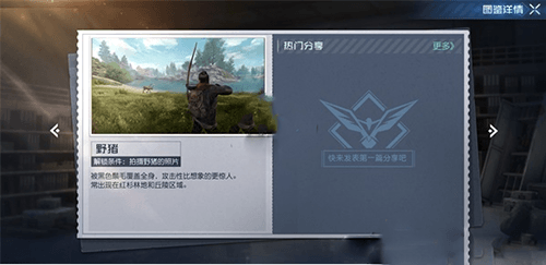 黎明觉醒野猪在哪