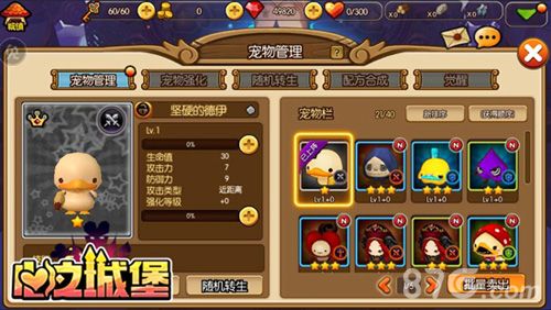 心之城堡宠物管理