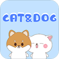 铲屎官翻译器app