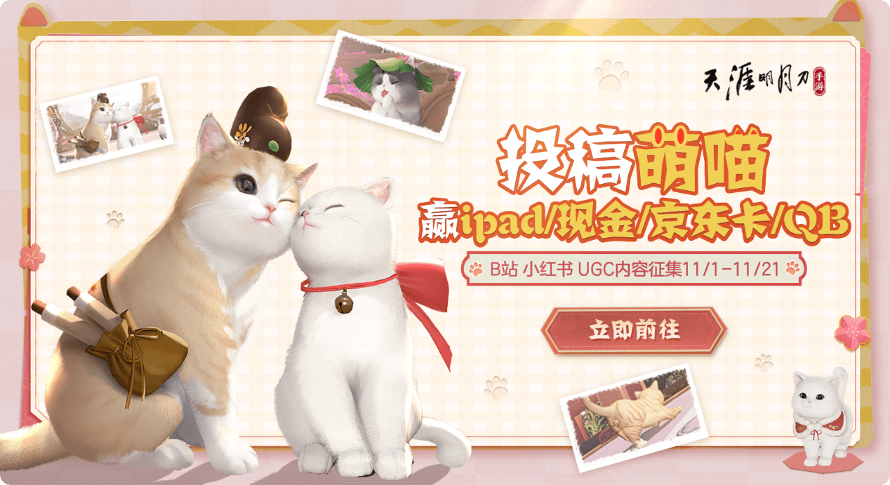 天涯明月刀20
