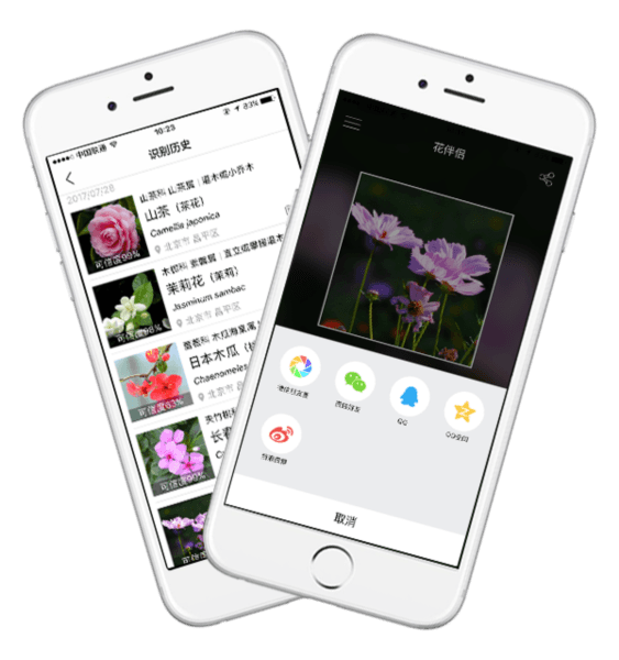 花伴侣app1