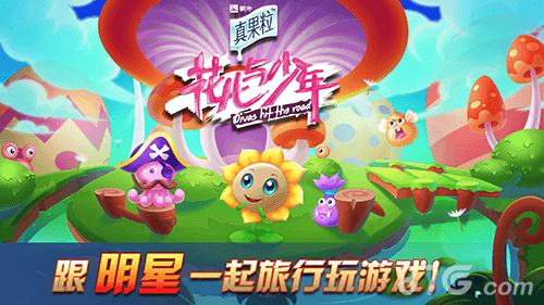 花儿与少年宣传图