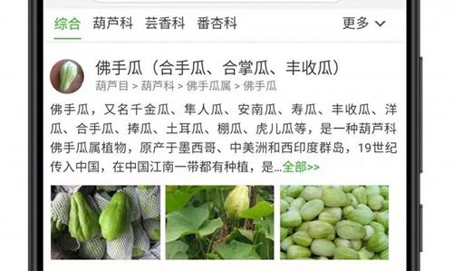 行色识花官方版下载