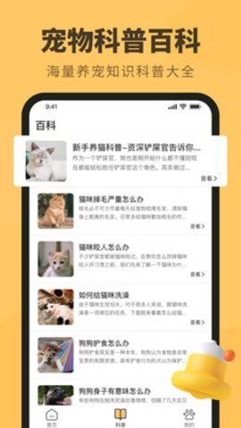 宠物日常1