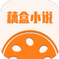 藕盒小说最新版