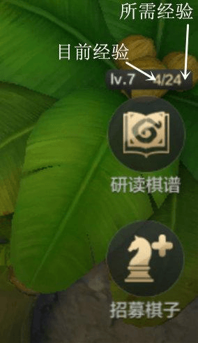巨鸟多多自走棋界面介绍11