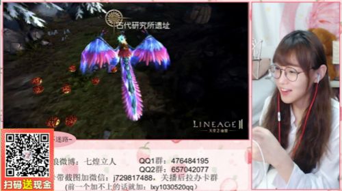 天堂2:血盟4