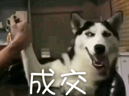 一起打打打?《推理学院》2020年11月新系统即将上线 一起打打打?《推理学院》2020年11月新系统即将上线