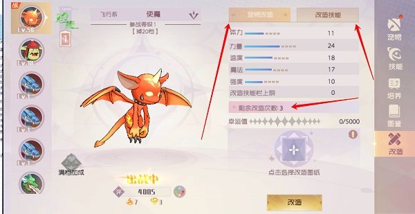 宠物玩法攻略配图10