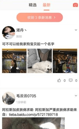 猫语翻译器app2