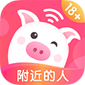 乖猪聊天交友app