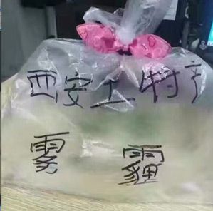 啪啪三国2搞笑宣传图4