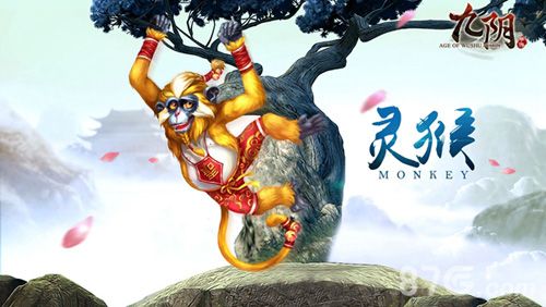 九阴手游宠物-灵猴