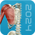 3D肌肉解剖app