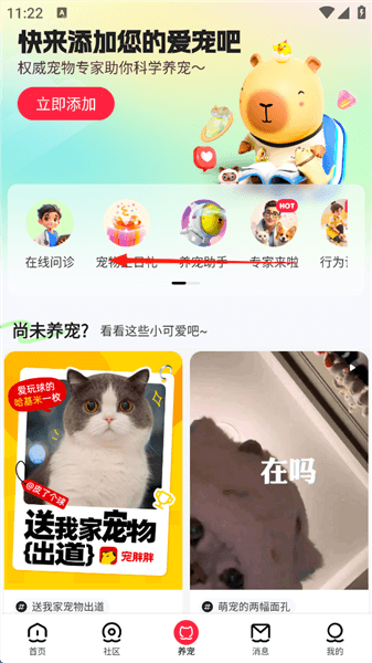 如何进行猫咪MBTI性格测试配图2