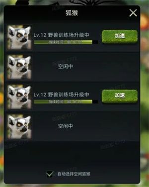 狐猴攻略配图2
