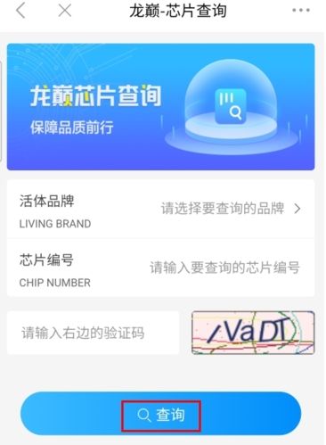 龙巅app11