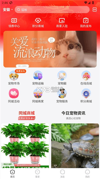 怎么免费领取宠物配图1