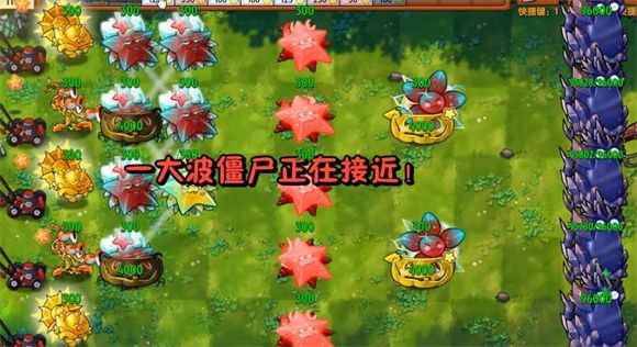究极植物图鉴配图5