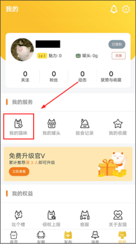 添加猫咪档案教程配图2