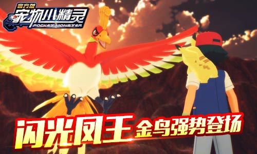 宠物小精灵金鸟登场
