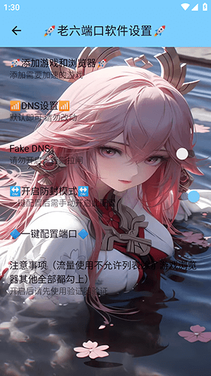 老六端口宣传图