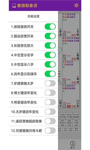 紫微取象派软件1