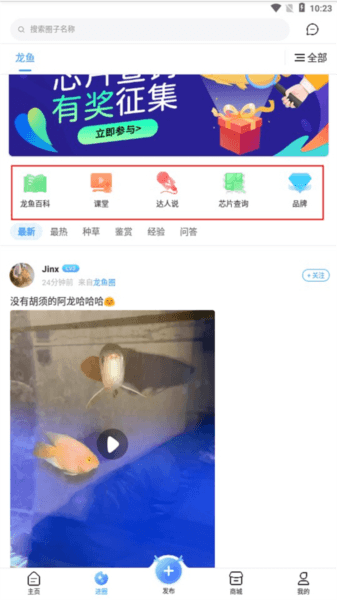 龙巅app13
