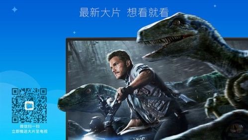 小白多屏互动软件宣传图