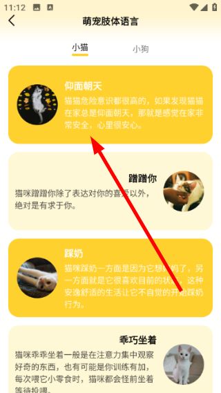 翻译宠物语音教程配图4