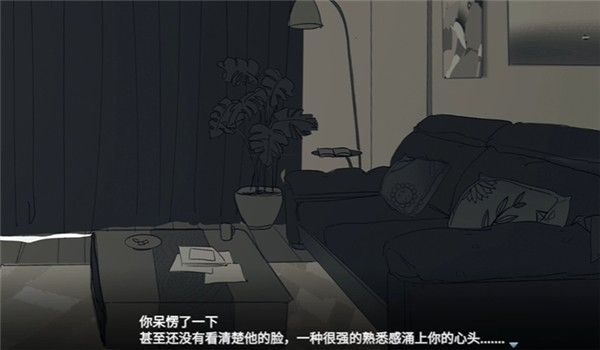 流程攻略配图4